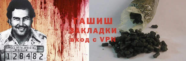 гашик Елизово