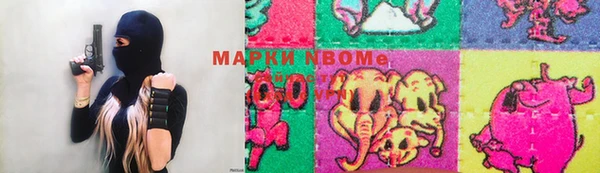 гашик Елизово