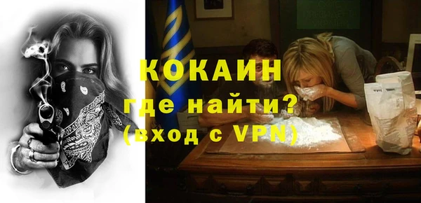 гашик Елизово