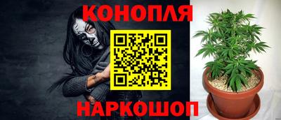 apvp Шелехов