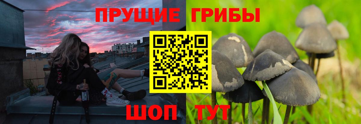 Галлюциногенные грибы MAGIC MUSHROOMS Канск