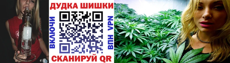 Бошки Шишки марихуана Канск